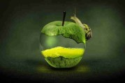 限量蓝光收藏【维纳斯的情人们】霍建华×刘德华浪漫禁忌未删减完整版中文字幕免费在线观看