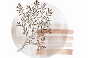 深夜爆料来袭，黑料网入口引爆舆论场